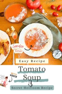 A pinterest pin. There is a bowl of tomato soup with grated cheese and pepper on top. There is another bowl behind and a plate of grilled cheese to the side.