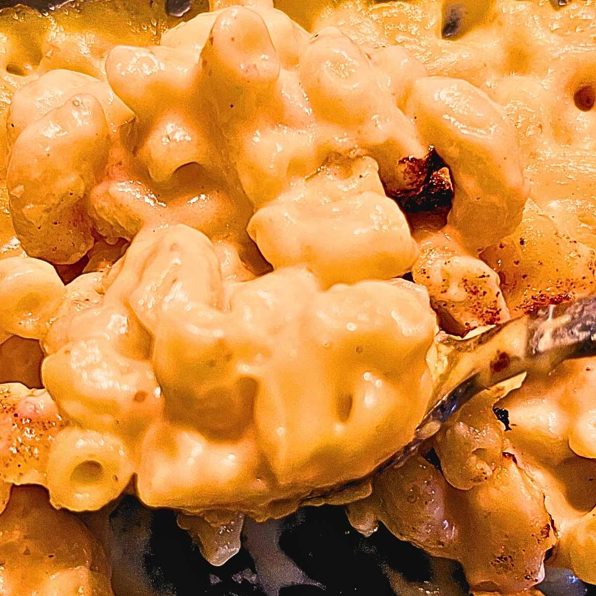 The Best Creamy Macaroni and Cheese Bake