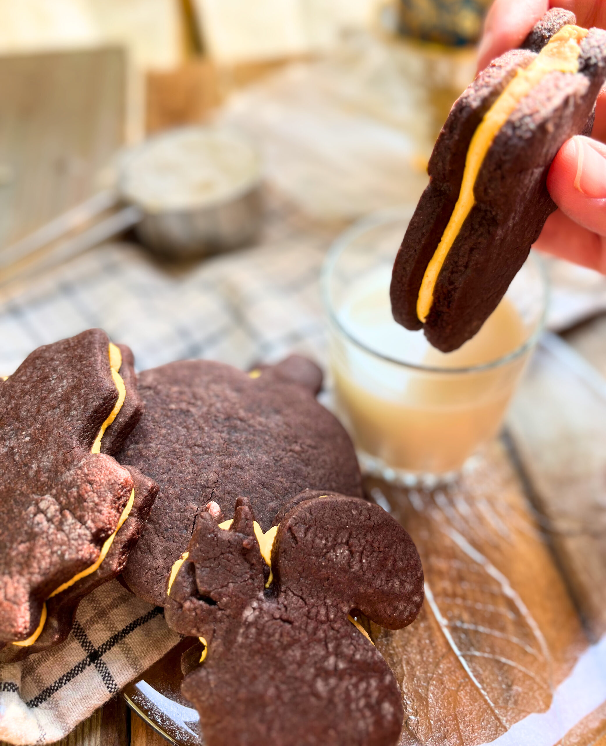 Woman dipping a homemade chocolate sandwich cookie with orange icing into milk