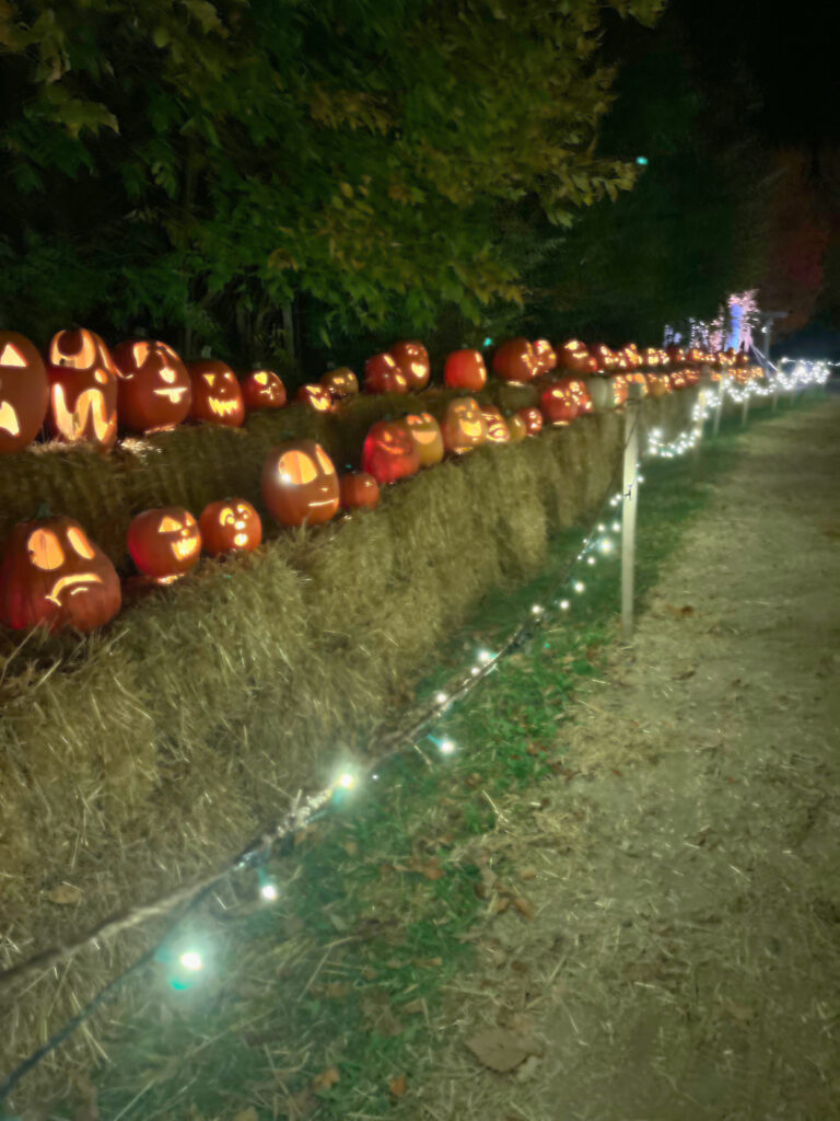 A long row of carved and lit pumpkins on bales of hay. A line of string lights in front of them. At night.