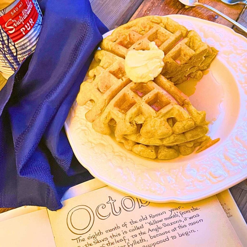 A stack of pumpkin waffles on a white plate. There is an open book in front.