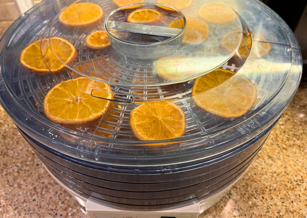 Orange slices in a dehydrator.