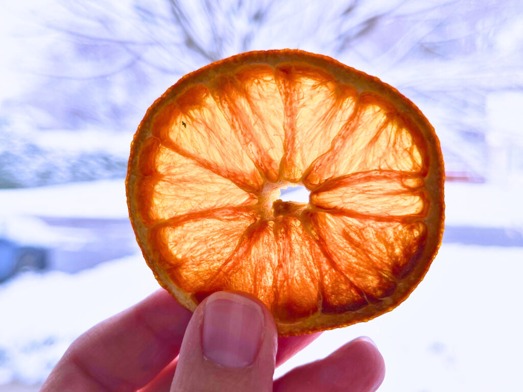 A woman holding up a dehydrated orange slice.