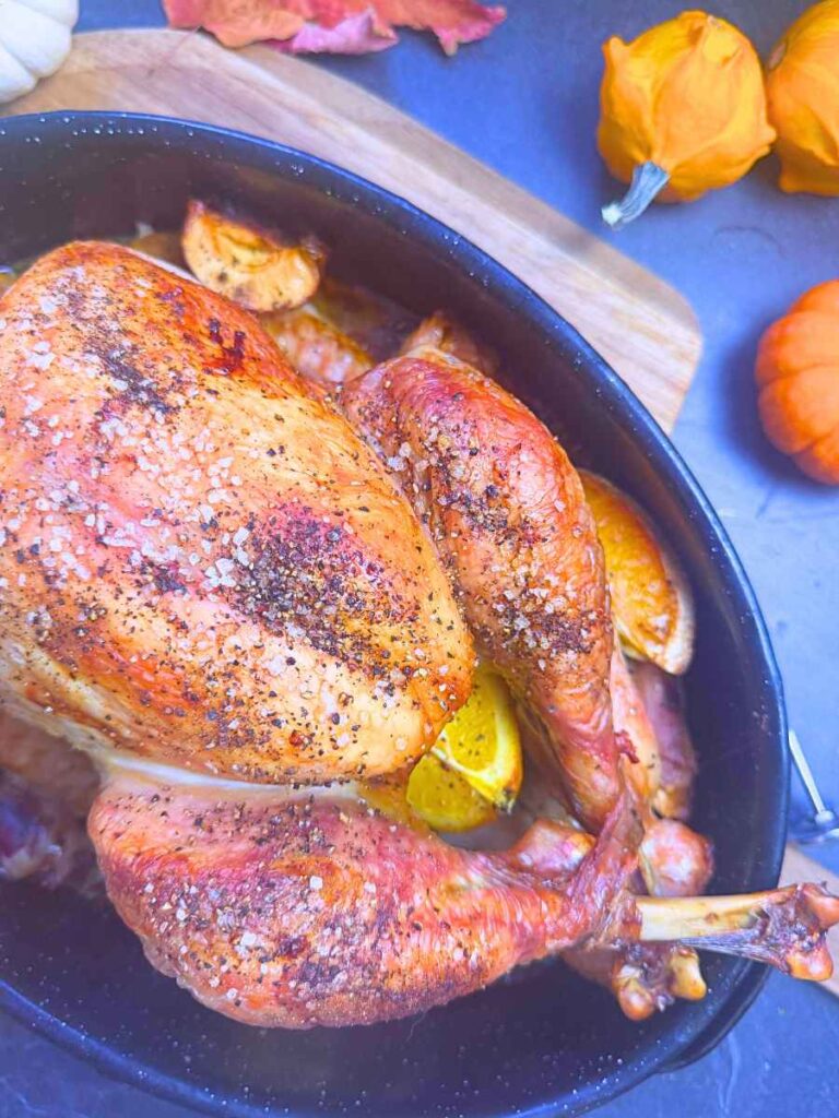A seasoned roast turkey in a roasting pan.