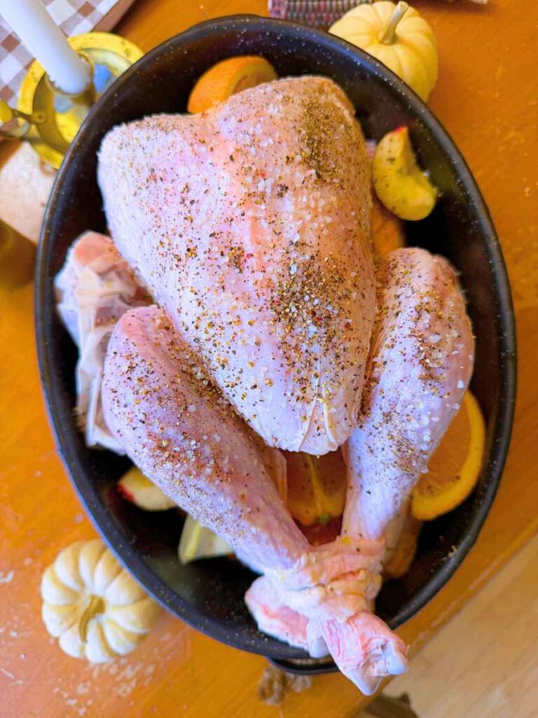 A seasoned fresh turkey in a roasting pan.
