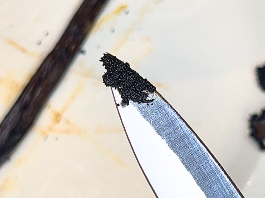 Vanilla bean seeds on the tip of a knife. The vanilla bean pod is in the background.