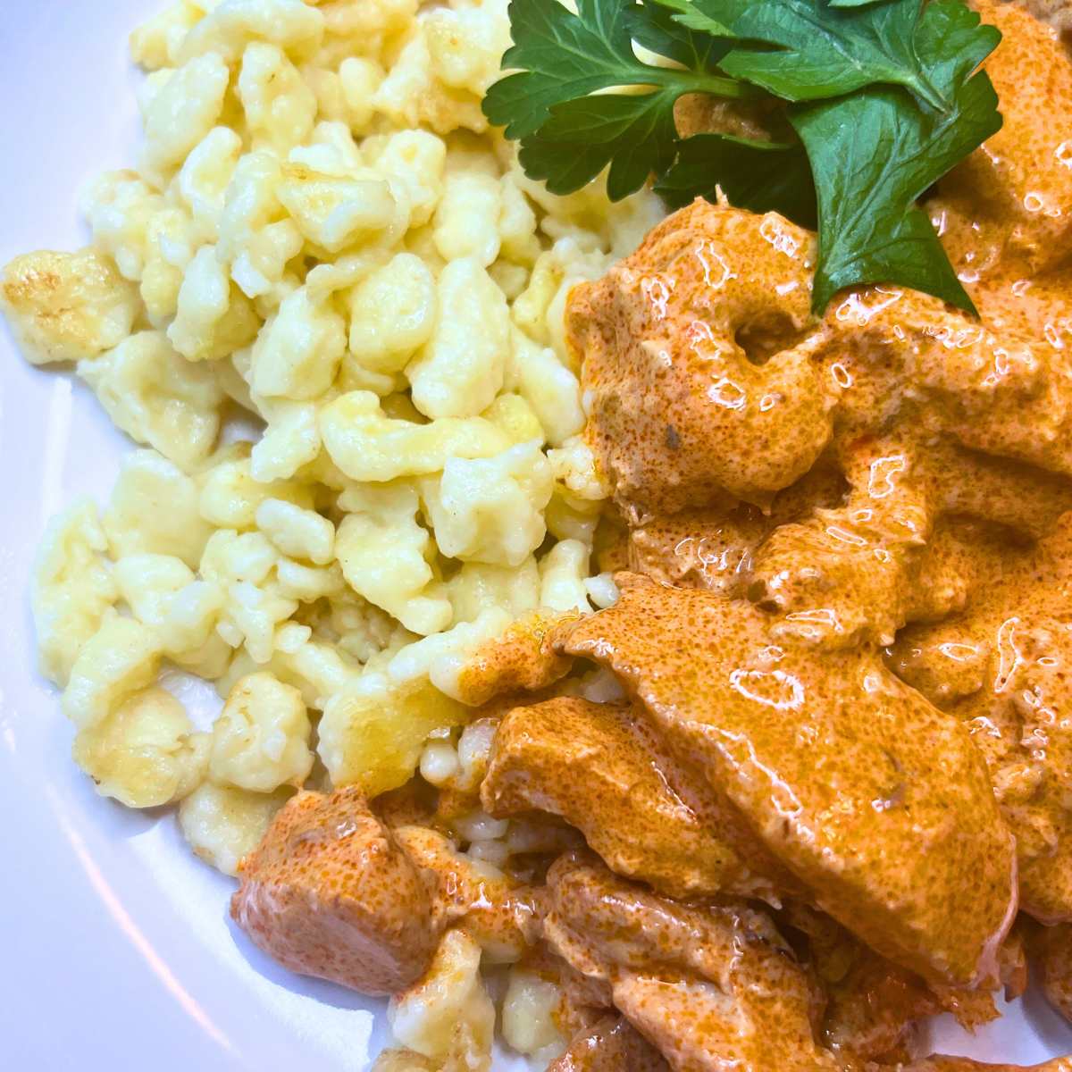 Chicken paprikash with spatzle noodles in a white and green dish.