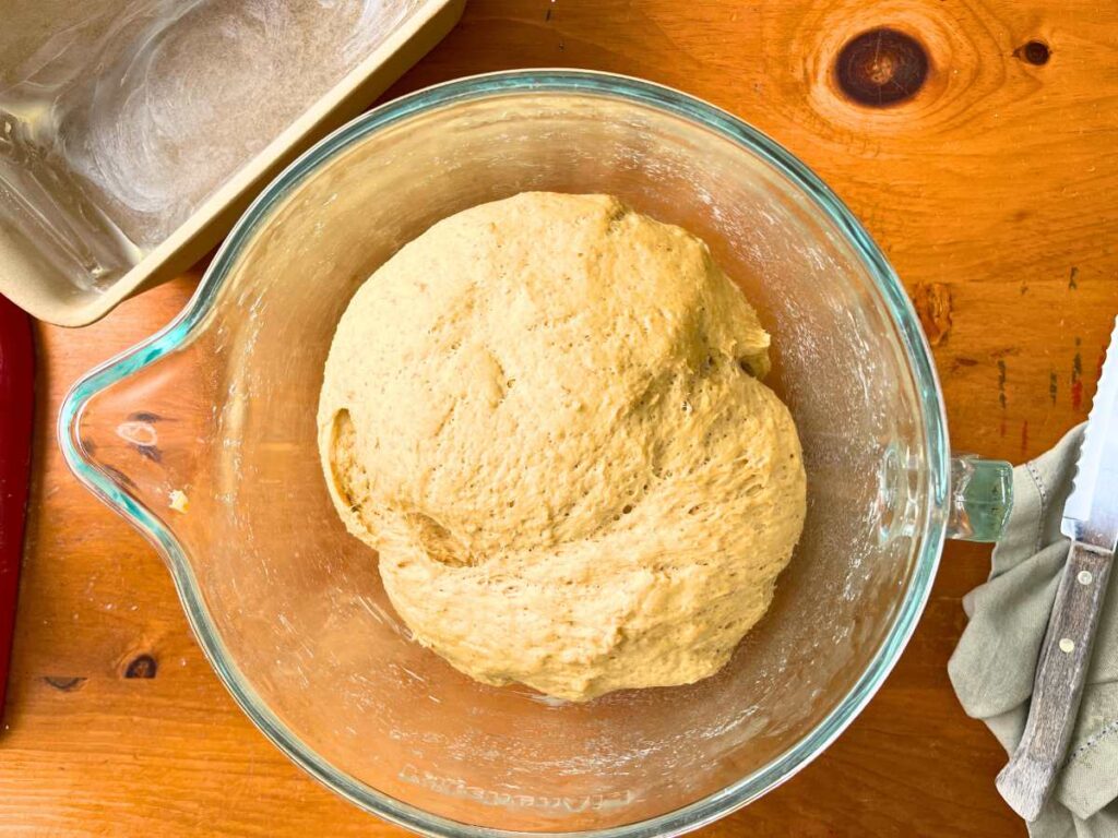 A risen molasses bread dough in a glass bowl.