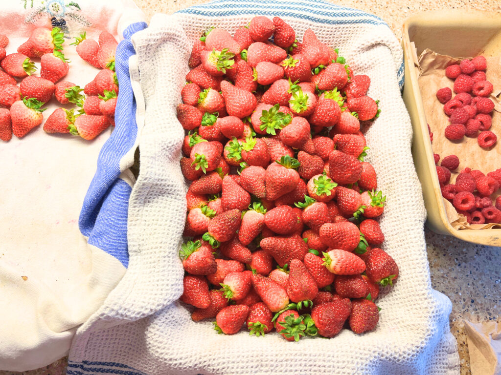 Strawberries in kitchen towel lined casserole dishes. There are raspberries in a loaf pan.
