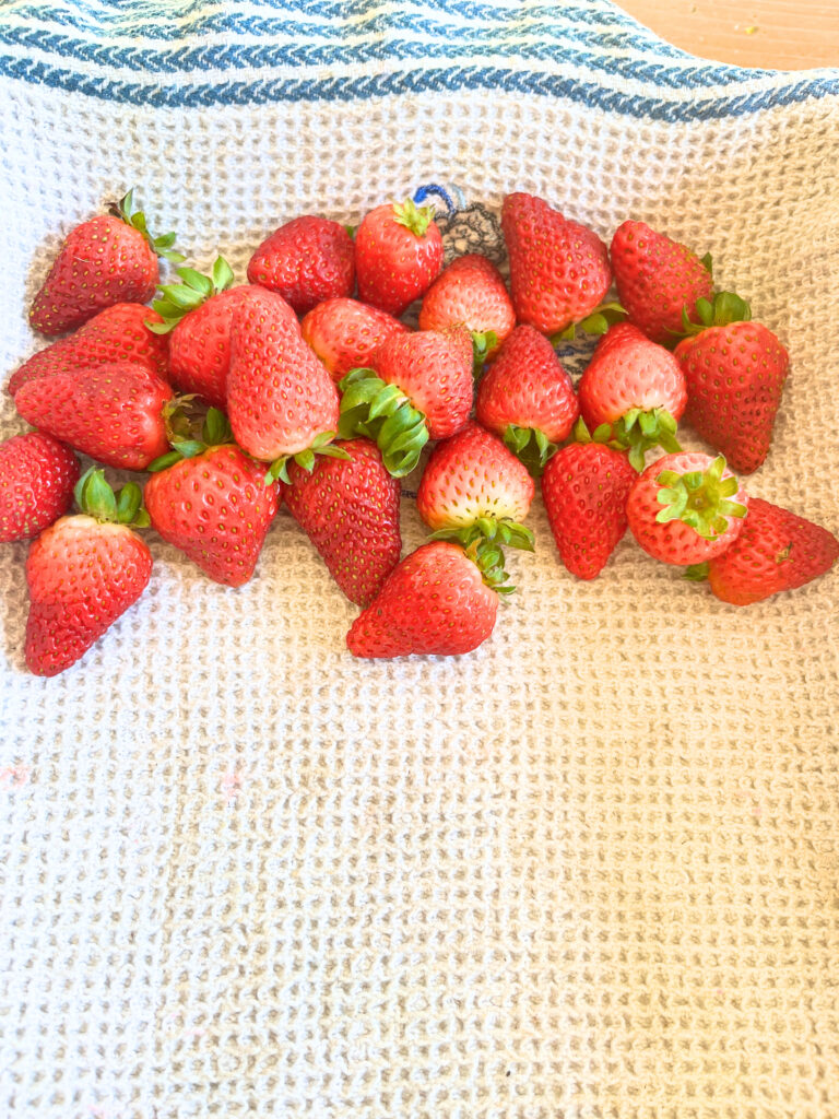 A few strawberries on a kitchen towel in a casserole dish.