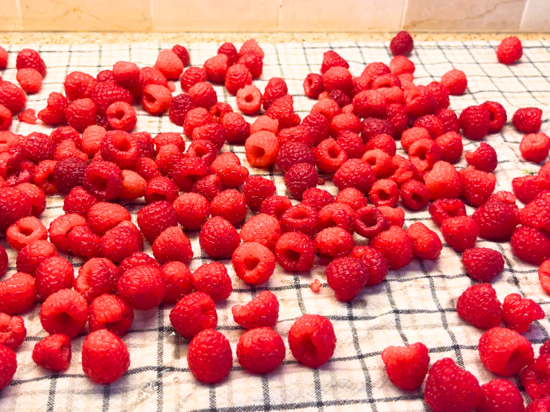 Raspberries spread out of a kitchen towel.