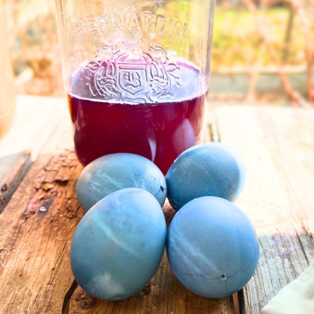 A Mason jar with purple liquid in inside. There are four blue coloured eggs in front.