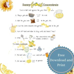 A recipe for lemonade. The ingredients are picture graphics and the instructions are written. There is a stamp saying you can download and print for free.
