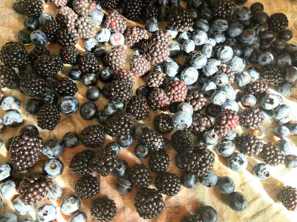 Blackberries and strawberries on a kitchen towl.