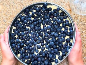 A cheesecake in a springform pan with blueberries on top.