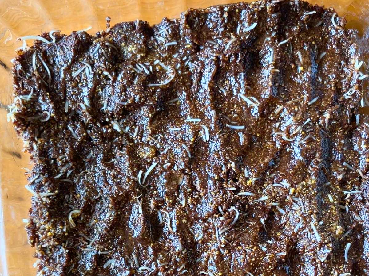 A chocolate mixture pressed into the bottom of a glass casserole dish.