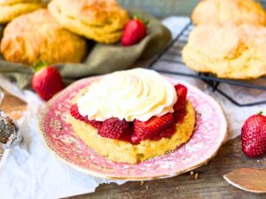 A biscuit with a layer of strawberry sauce, sliced strawberries, and whipped cream.