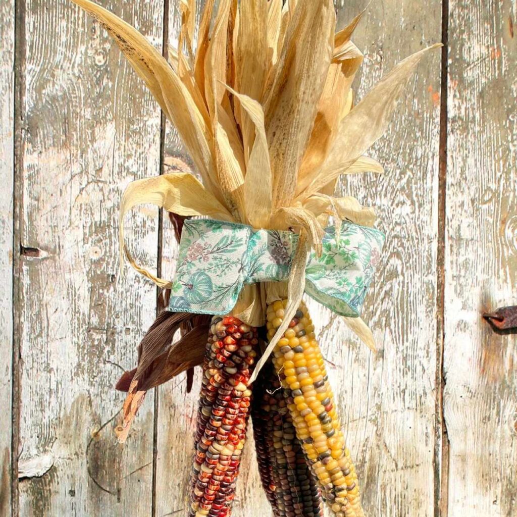 There is an Indian corn door swag decoration.