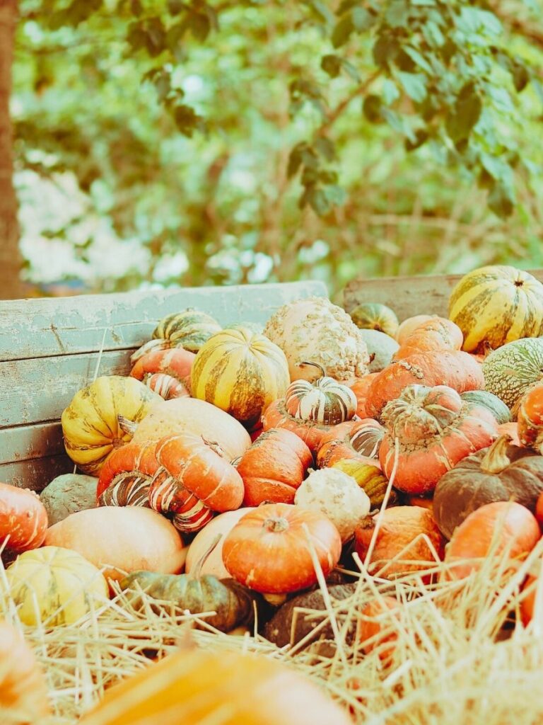 There is a trailer full of straw, pumpkins, and squash.