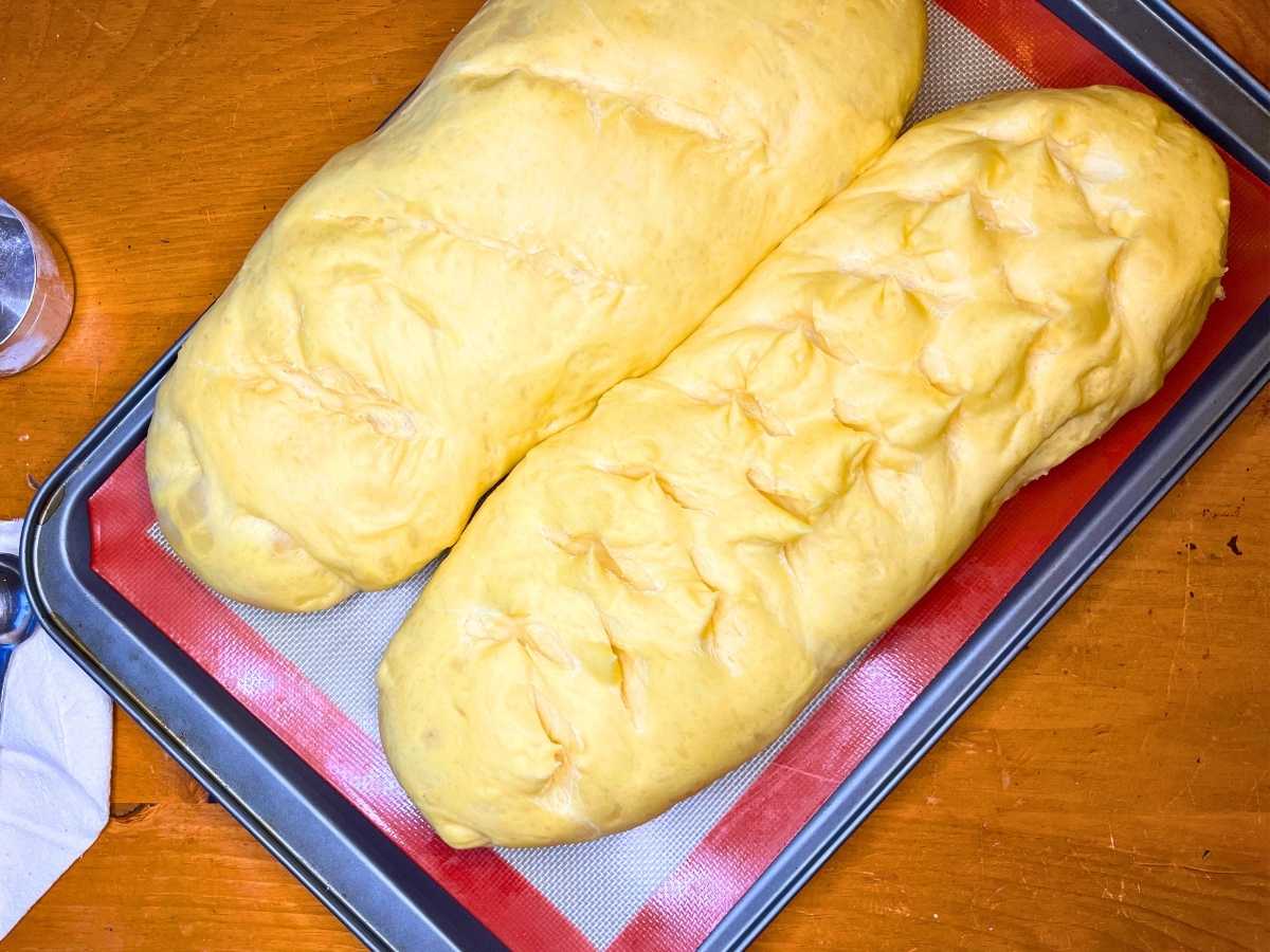 Bread dough shaped into two loaves. The dough is risen.