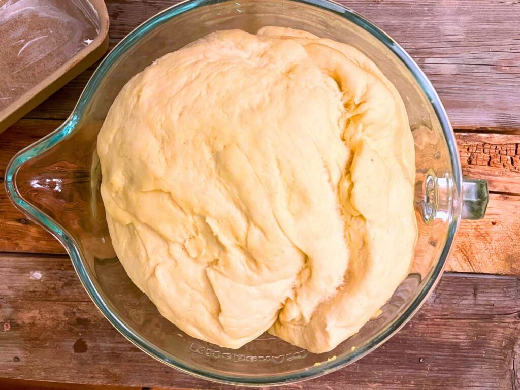 Risen cornmeal bread dough in a glass bowl.