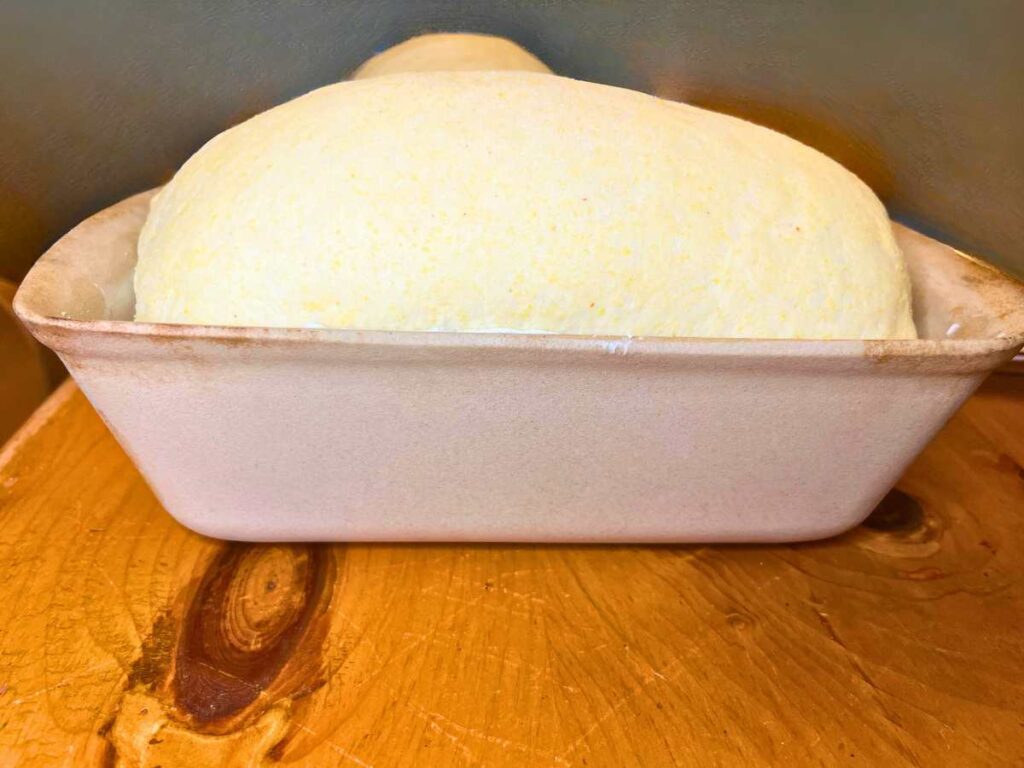 A risen cornmeal bread dough in a stone loaf pan.