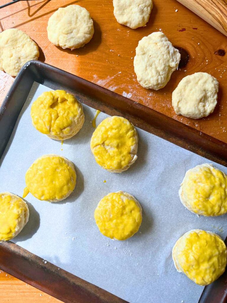A baking sheet with scones on top brushed with egg wash.
