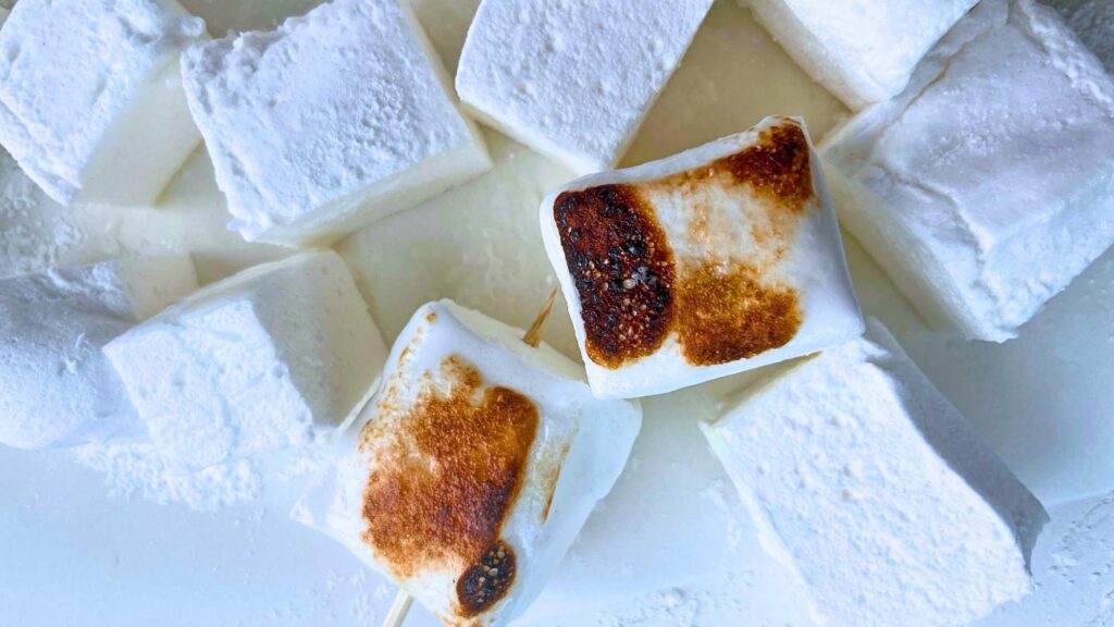 Square cut homemade marshmallows. Two are toasted.