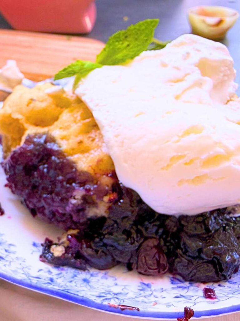 A close up view of a serving of blueberry grunt with vanilla ice cream on top.