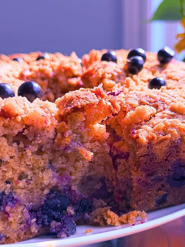 A side view of a sliced black current coffee cake.