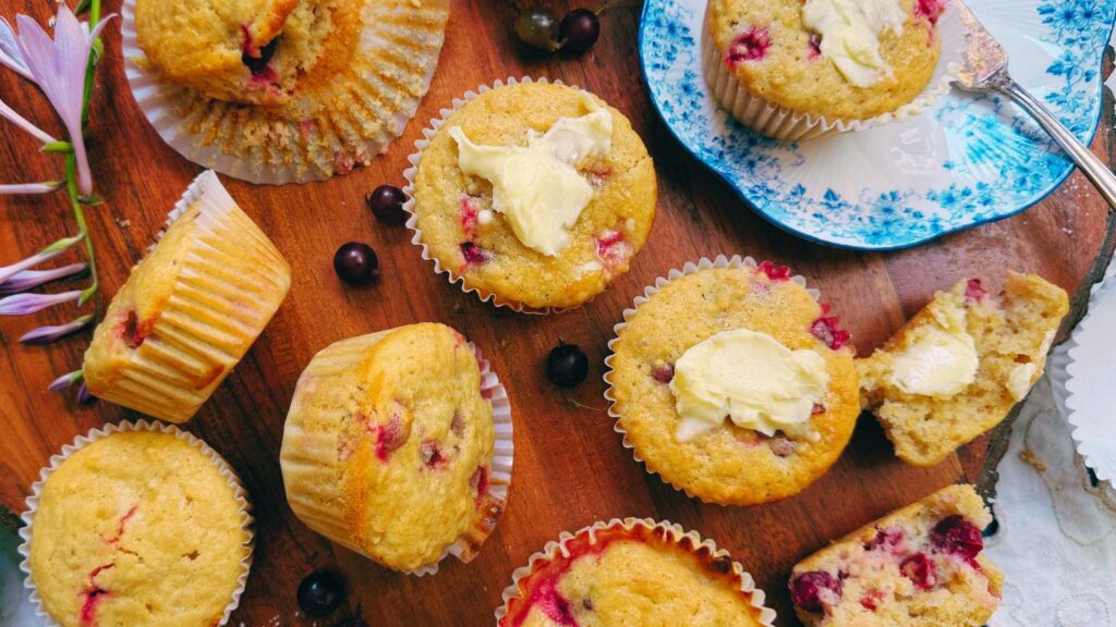 A table full of muffins with baked gooseberries inside. There is one on a blue plate to the side.