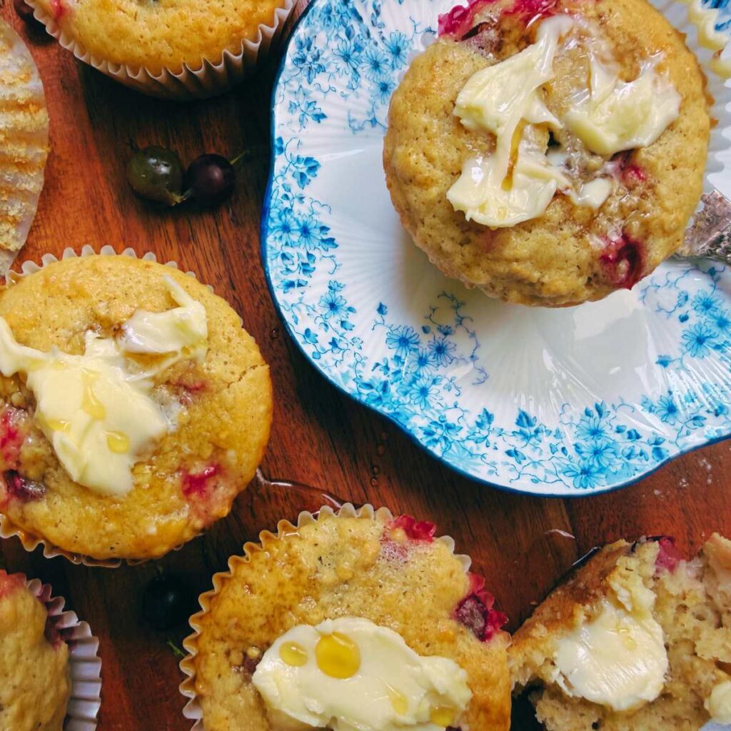 A gooseberry muffin on a blue plate. There is butter spread on top. There are more muffins off to the side.