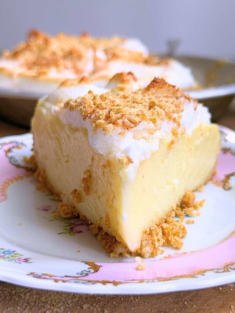 A front view of a slice of flapper pie on a pink and white plate. There is more in a pie plate in the background.