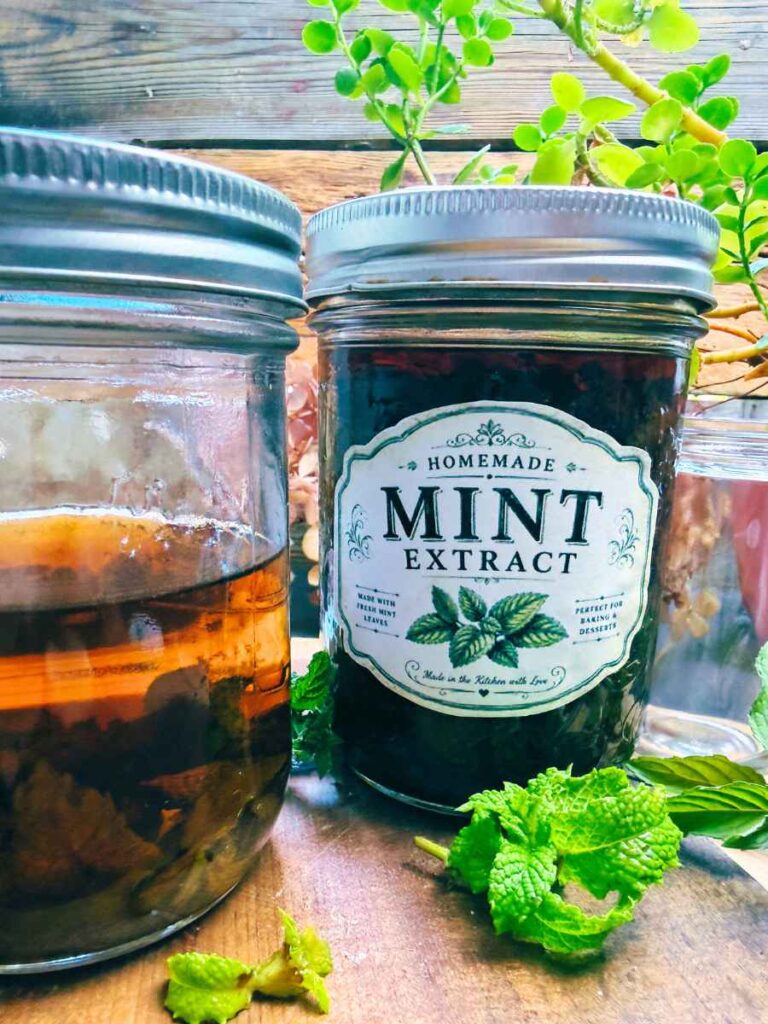 Two bottles of fresh mint extract. One is labeled. There are fresh mint leaves in front.