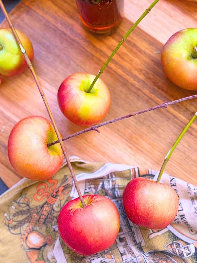Apples with pieces of sticks in the centre of each one.
