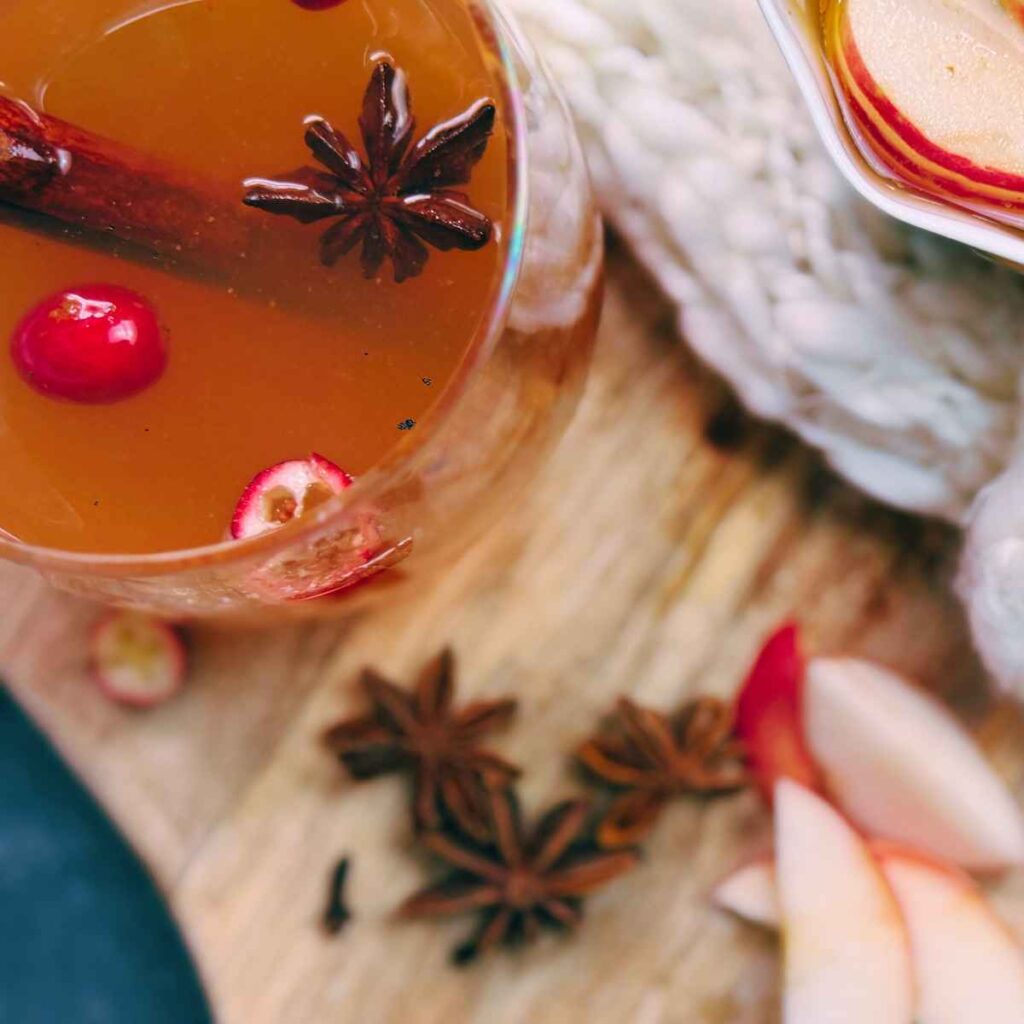 A glass of mulled apple cider. There is a cinnamon stick, cranberries, and star anise inside.